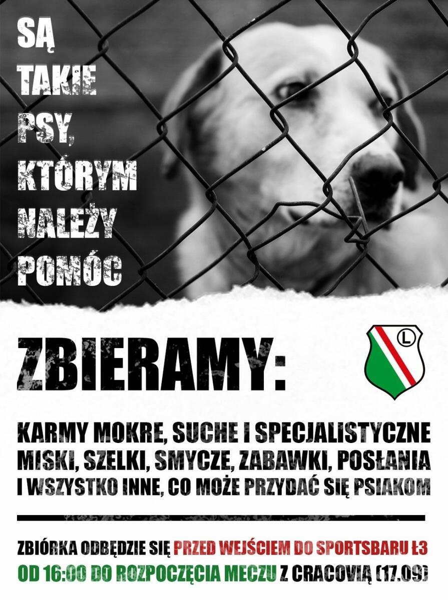 News: Zbiórka dla czworonogów przed meczem z Cracovią