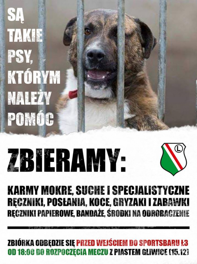 Zbiórka dla psiaków, przygotowania do meczu