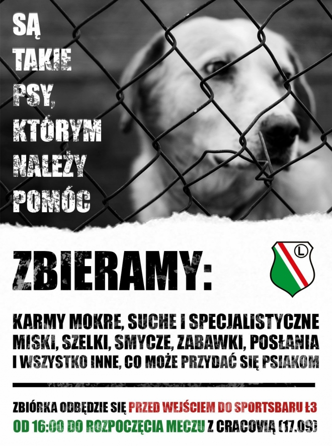 Zbiórka dla czworonogów przed meczem z Cracovią